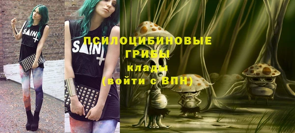 тгк Беломорск